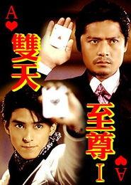 双天至尊演员表,众星云集，演绎传奇英雄梦