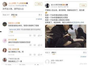 娱乐圈水军,幕后推手还是网络暴力的帮凶？