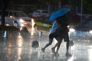 雨中奔跑的图片,青春的脚步