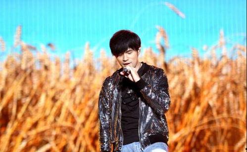 哪些明星崇拜周杰伦,揭秘明星崇拜背后的周杰伦现象